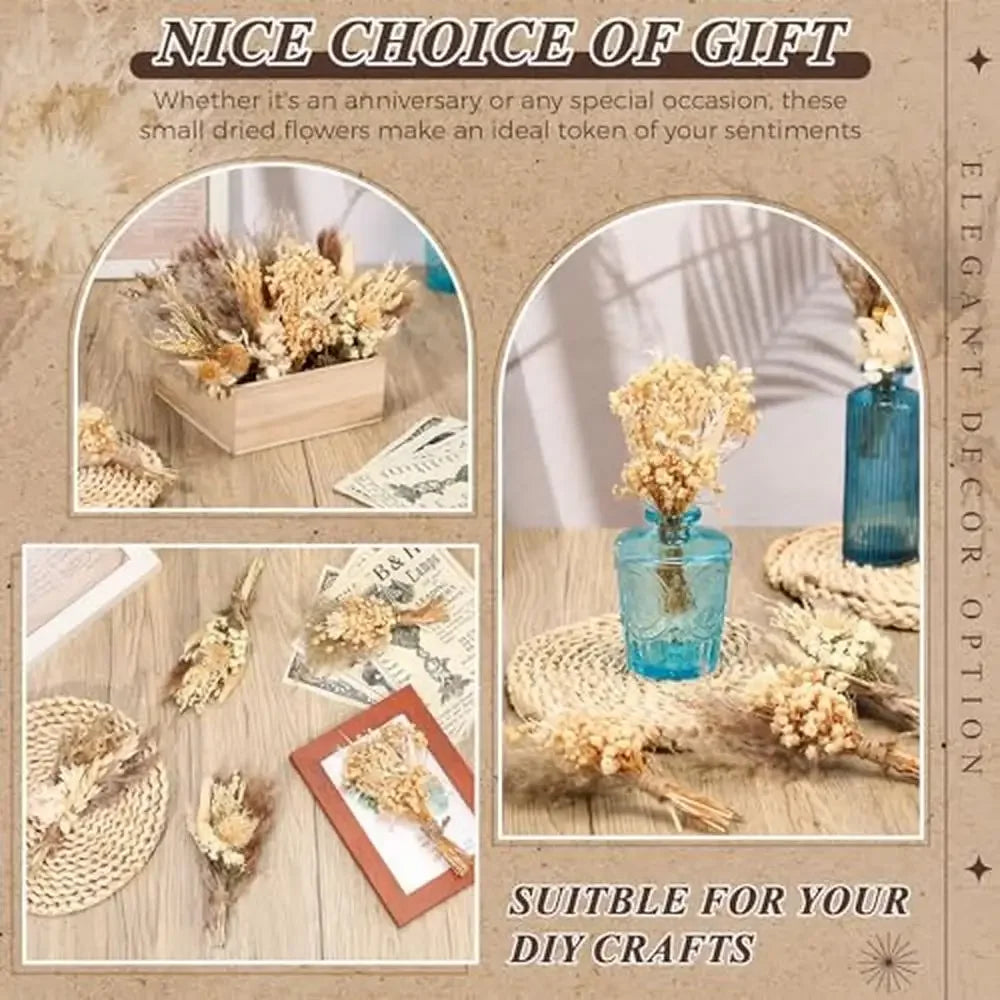 24pcs Mini Dried Flower Bouquet